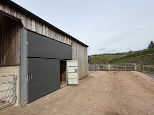 Yard- click for photo gallery